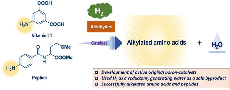 Catalyst Search: Accelerating Catalyst Discovery in Chemistry