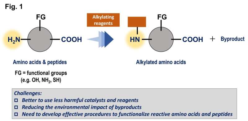 Catalyst Search: Accelerating Catalyst Discovery in Chemistry