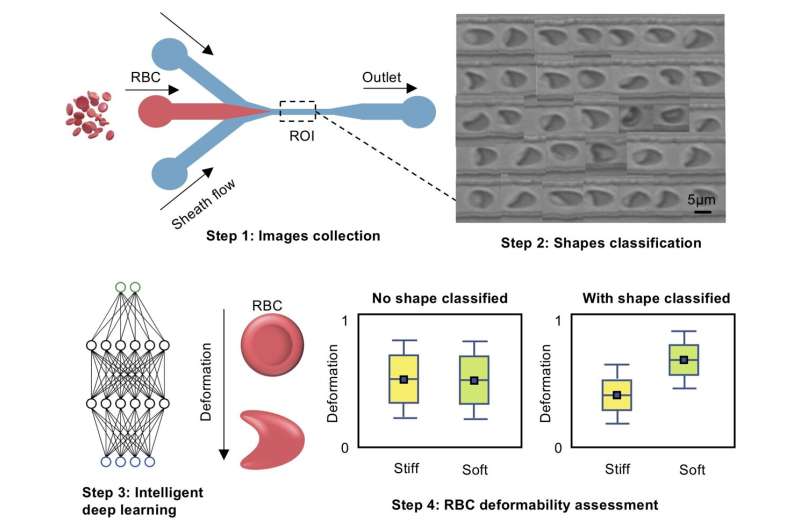 New Method for Assessing Red Blood Cell Deformability