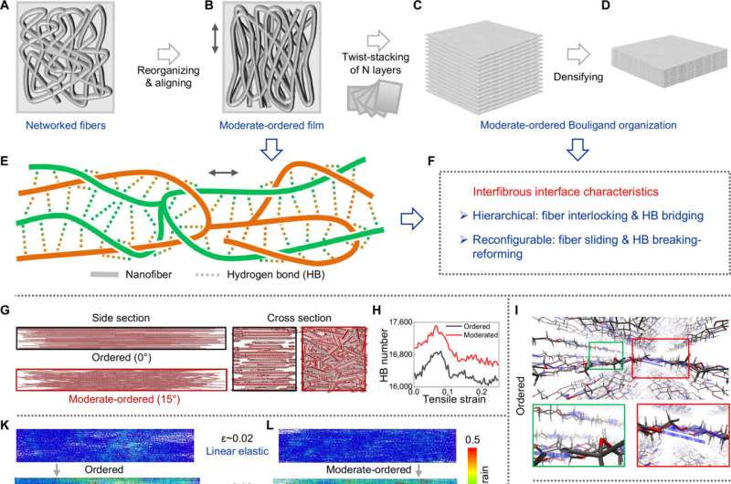 Bioinspired Bouligand Structures: Enhanced Mechanical Properties through Nanofiber Networks