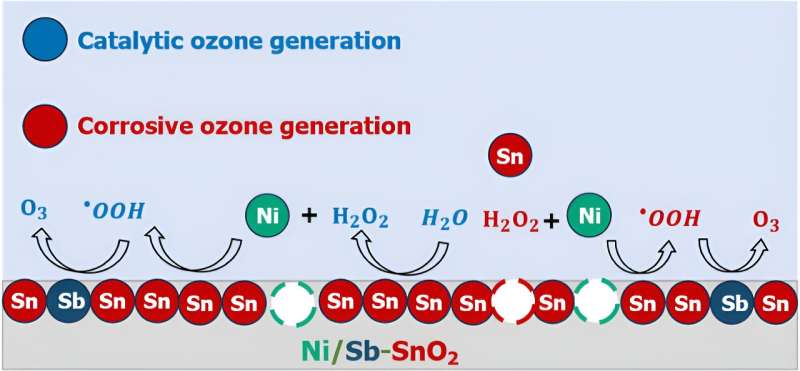 Catalyst Corrosion in Electrochemical Ozone Production: A Breakthrough in Sustainable Water Disinfection