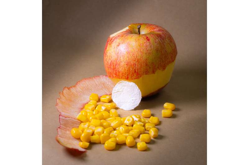 Plant-Based Burn Bandage Developed by IIT Offers Eco-Friendly Treatment