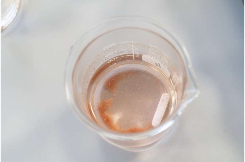 Biobased Chitosan Flocculant for Advanced Wastewater Treatment