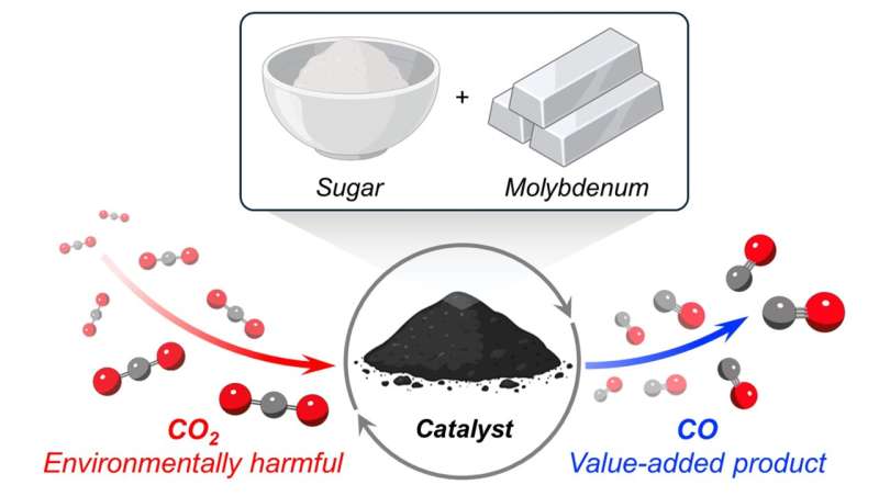 Sugar-Based Catalyst Converts Carbon Dioxide into Valuable Building Block