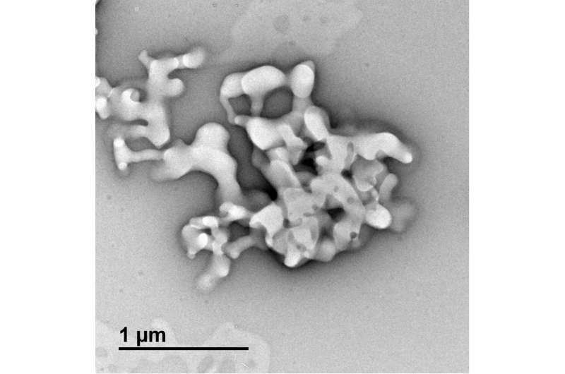 Mn007 Inhibits Streptococcus DNA-Cleaving Enzymes, Offering New Antibacterial Potential
