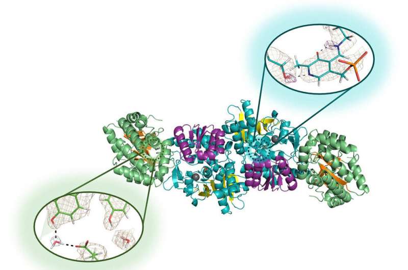 Microgravity Crystals Uncover Protein Structure Secrets