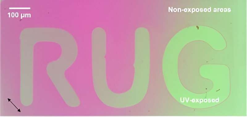 Advanced Molecular Motor Achieves High Efficiency, Expanding Applications