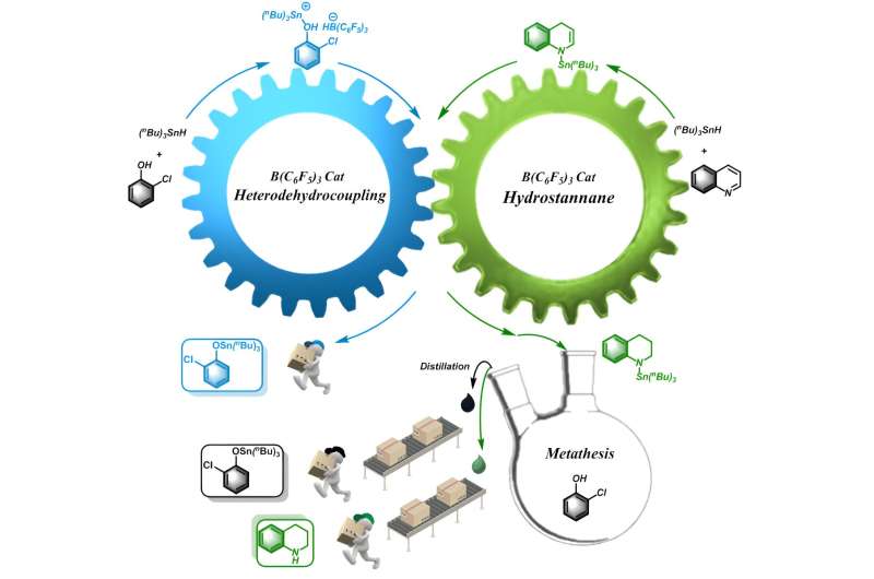 One-Pot Heterodehydrocoupling & Quinoline Reduction with B(C6F5)3 Catalyst