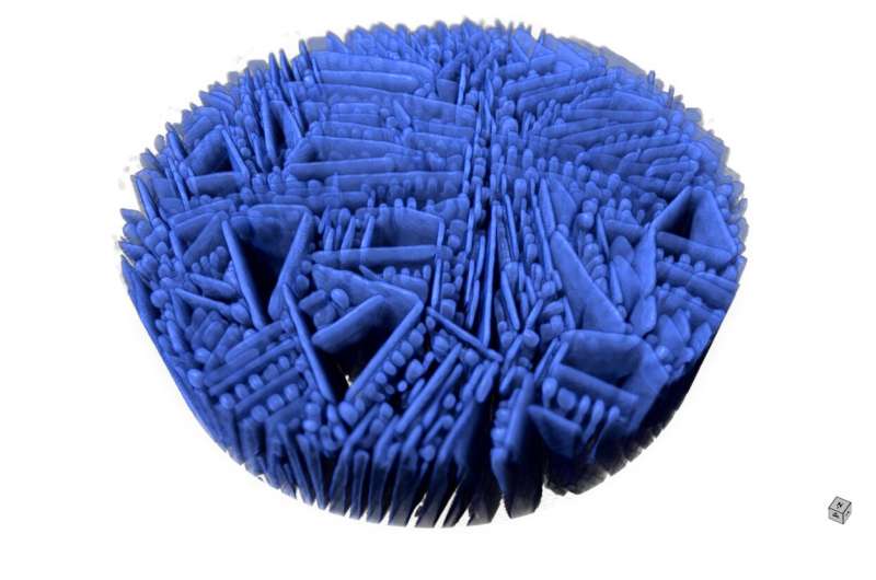 Freeze Casting: Creating Hierarchical Materials for Biomedical Applications