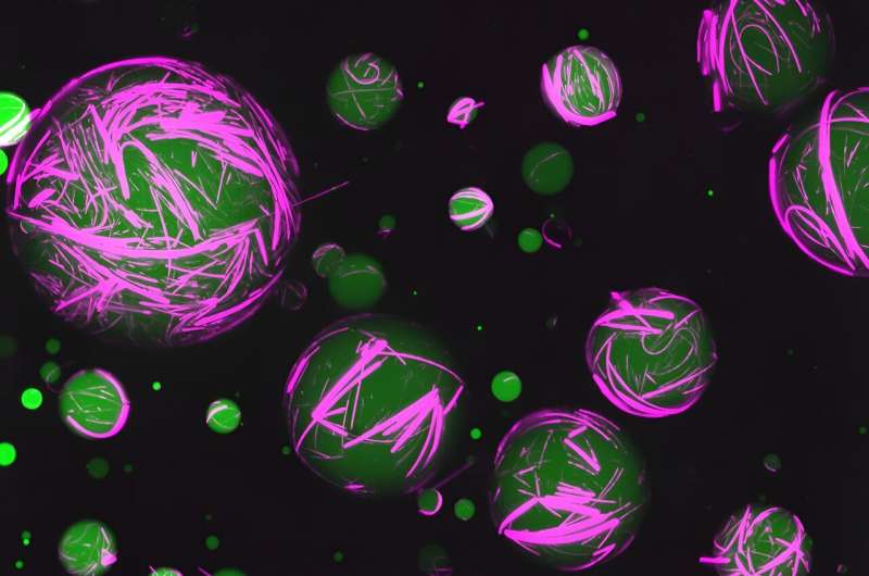 Scientists Develop Artificial Cells with Living Cell Functionality