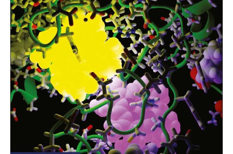 New Insights into Electron Movement in Protein Nanocrystals Could Revolutionize Energy