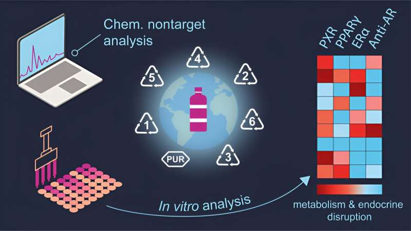 Harmful Chemicals in Plastic Food Packaging: A New Study