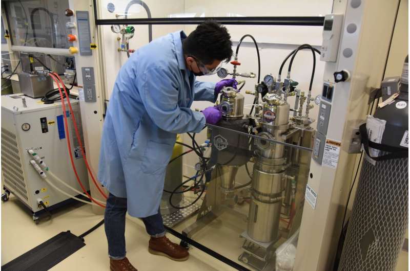 Pizza Box Recycling: Challenges & Solutions for a Sustainable Future