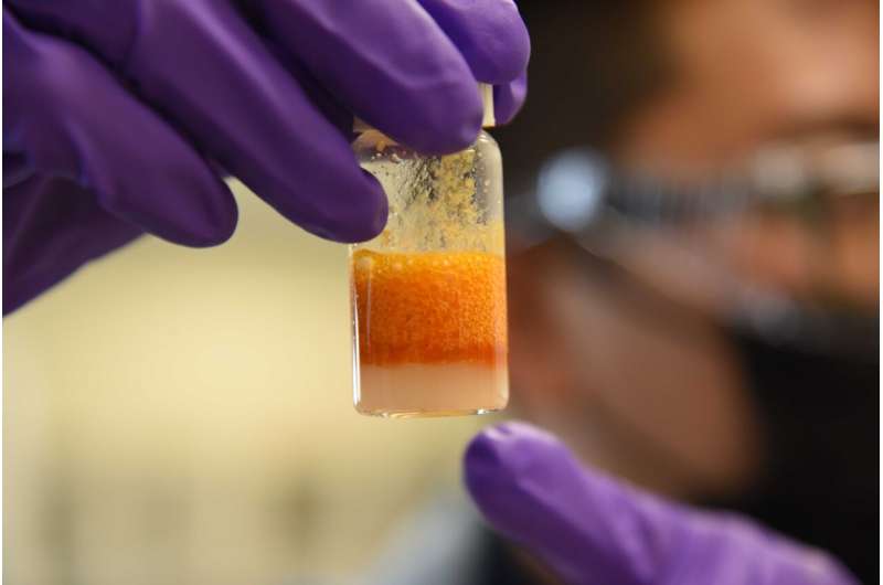 Pizza Box Recycling: Challenges & Solutions for a Sustainable Future