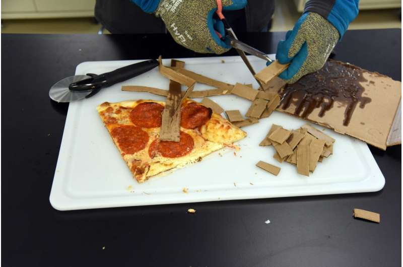 Pizza Box Recycling: Challenges & Solutions for a Sustainable Future