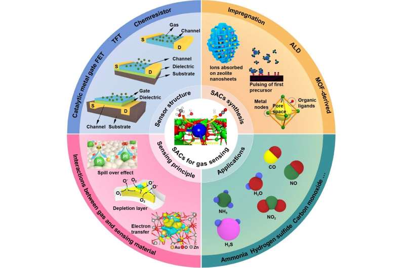 Single-Atom Catalysts for Advanced Gas Detection: A Comprehensive Review