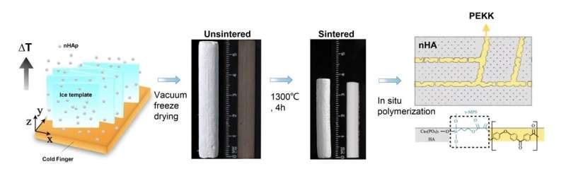 Bioactive Composites Inspired by Bone for Enhanced Strength