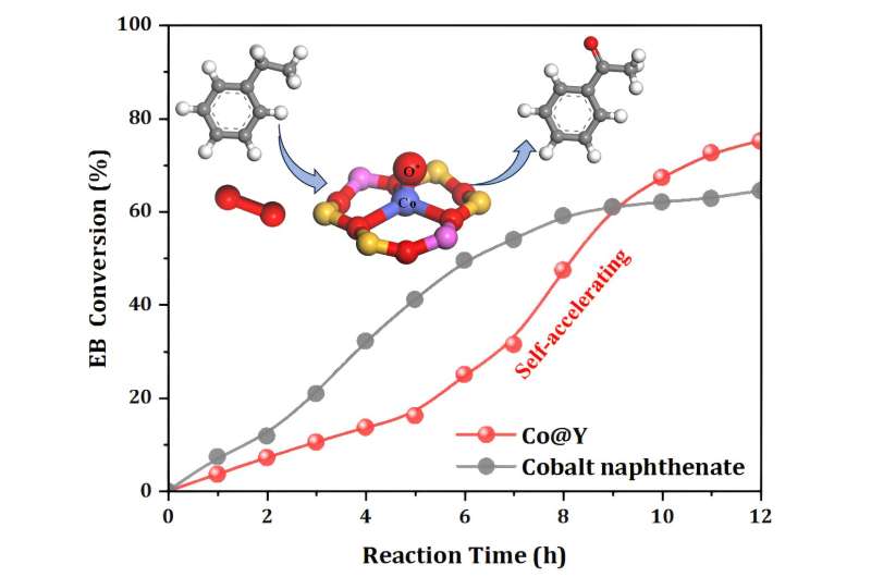 Co@Y Catalyst: Efficient Oxidation of Aromatic C-H Bonds