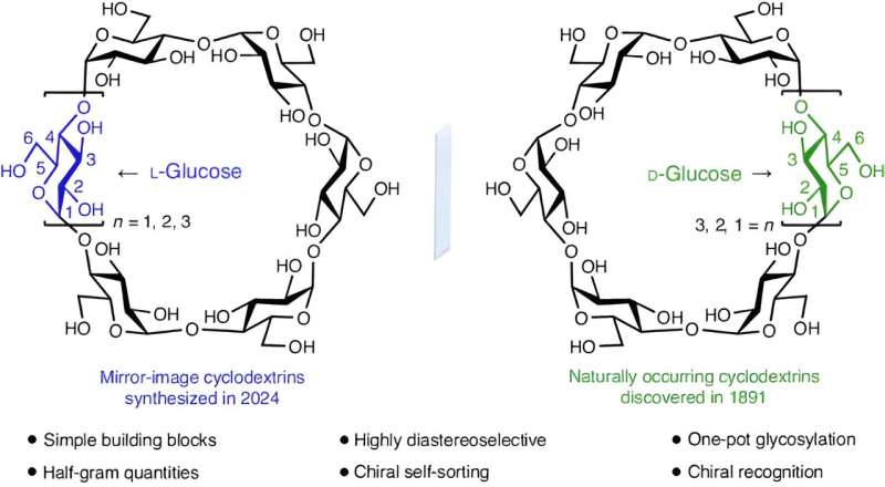 Novel Synthesis of L-Cyclodextrins: A Breakthrough in Chemical Research