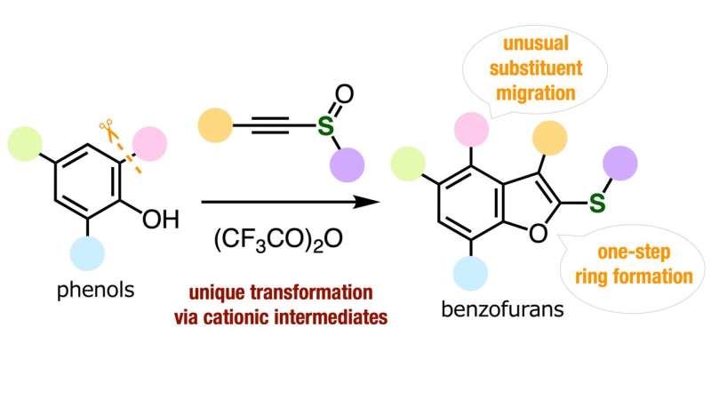 Novel Benzofuran Synthesis: Enabling Complex Molecule Creation