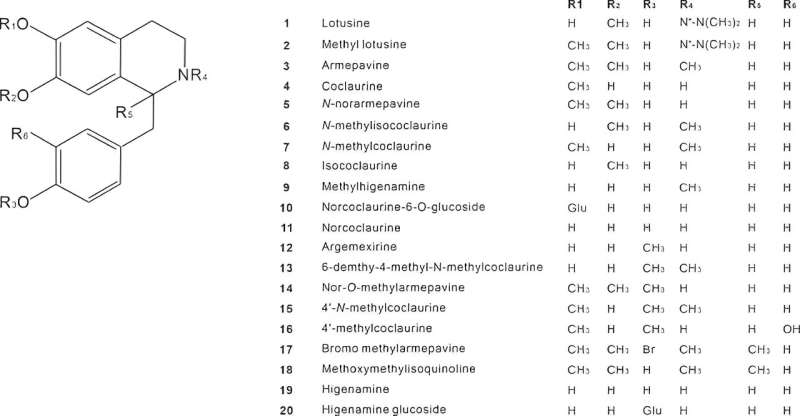 Lotus Benzylisoquinoline Alkaloids: Medicinal Potential & Research Insights