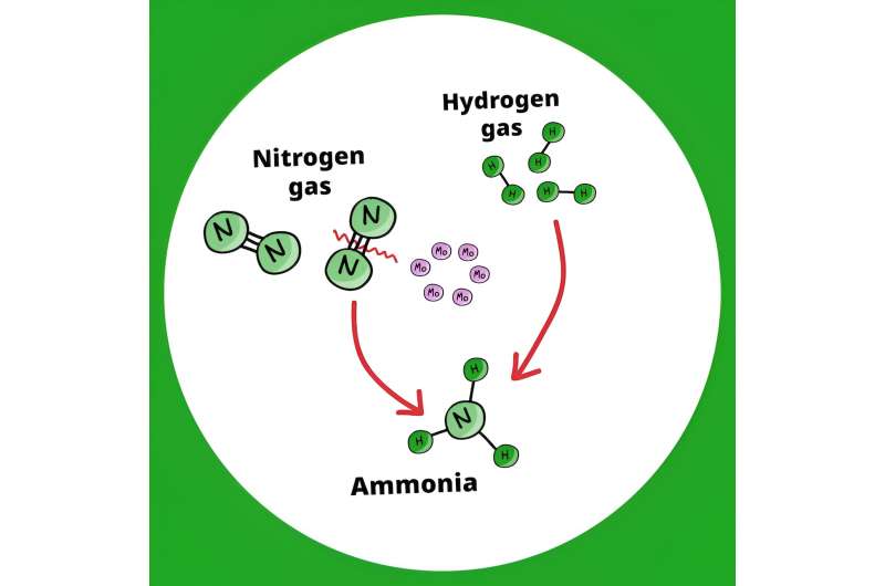 Sustainable Ammonia Production: New Catalyst for Energy-Efficient Fertilizer & Fuel Creation
