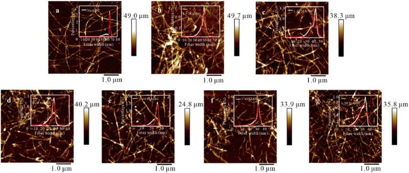 Novel Bacterial Cellulose Gel Boosts Bone Repair with Maleic Acid Treatment