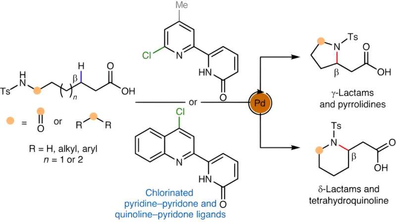 New Chemistry Method Simplifies Drug Building Block Synthesis