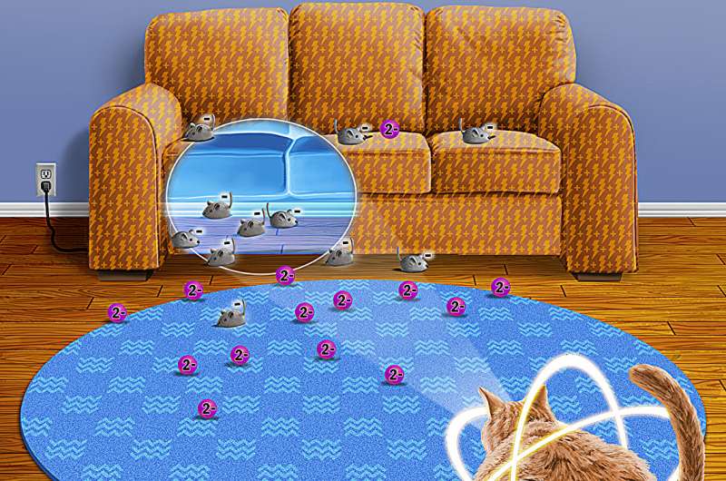 Metallopolymers: Exploring Solvation & Ion Valency Effects on Redox Properties