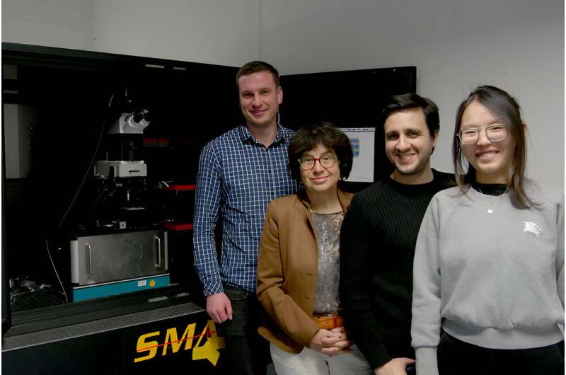 Advancements in Electrochemical Process Optimization for Renewable Energy