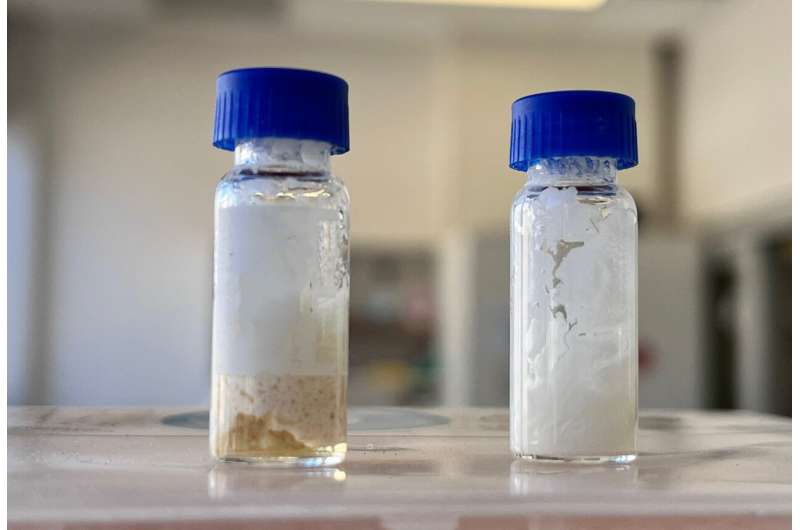 Innovative Organic Shampoo: Enhanced Lather & Longevity