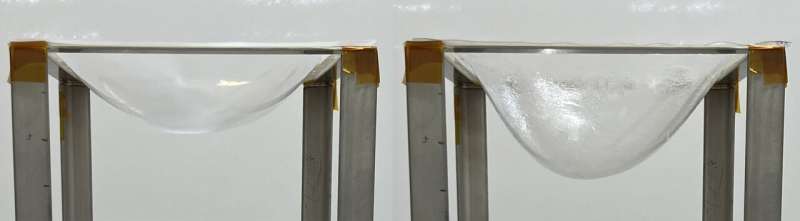 Engineered Microbes for Sustainable, High-Quality Bioplastics