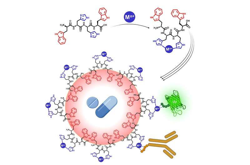 Peptide-Stabilized Emulsions for Advanced Drug Delivery Systems
