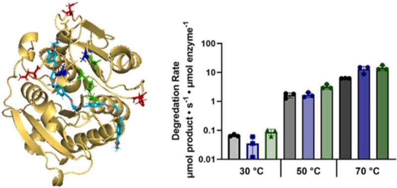 Enzyme Innovation: A New Front in Plastic Pollution Solutions