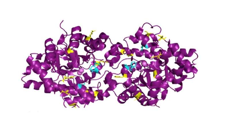 Biochemical Defenses Against Chemical Warfare: A Research Breakthrough