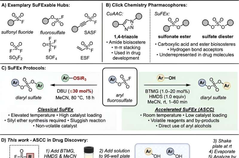 Novel Compound Library Developed via SuFEx Click Chemistry for Drug Discovery