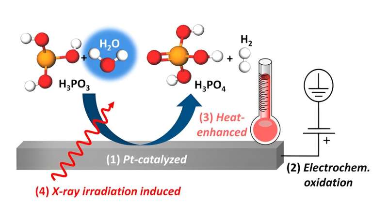 X-ray Studies Reveal Phosphorous Acid Oxidation in Fuel Cells