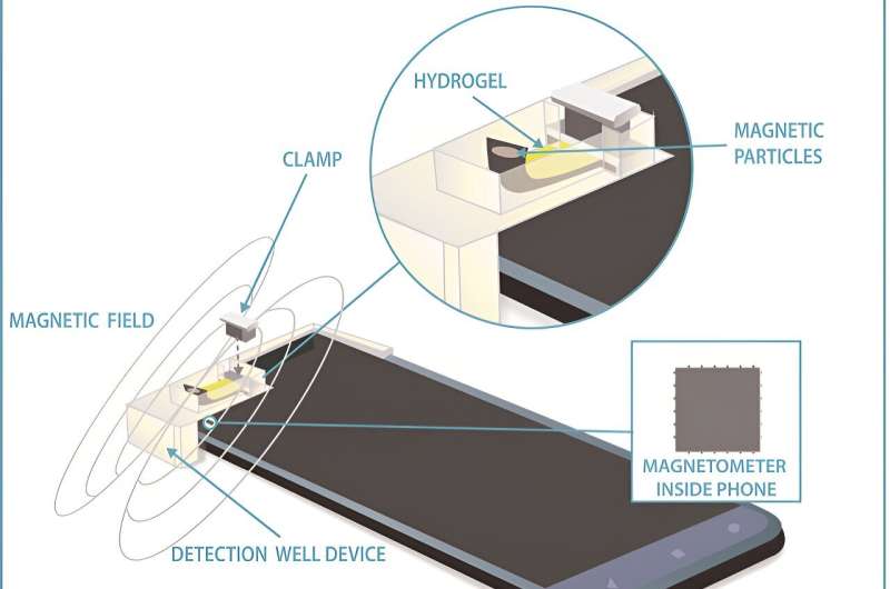 Smartphone Compass for Biomedical Compound Detection