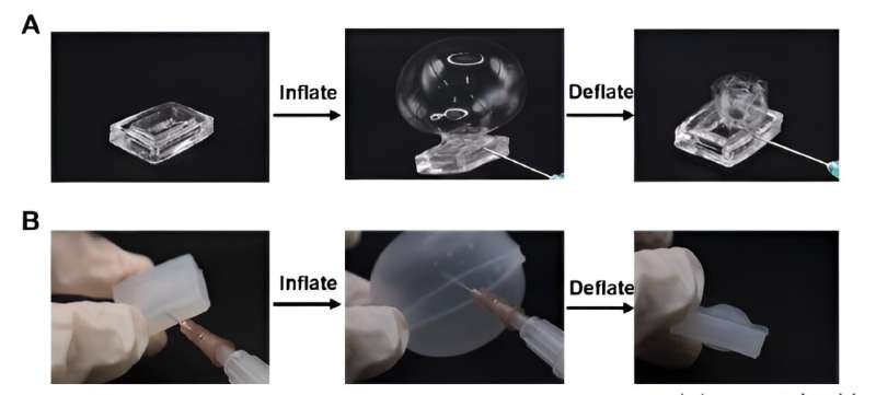 Stretchable Hydrogel Breakthrough: 15x Expansion for Advanced Applications