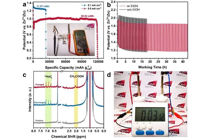Novel Bifunctional Catalyst Boosts Battery Performance for Sustainable Energy