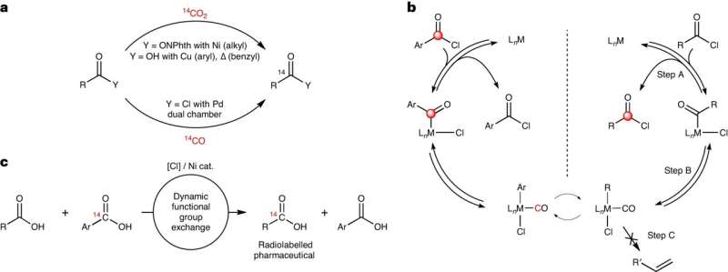 Efficient Carbon-14 Incorporation for Safer Drug Discovery