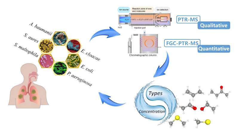 Rapid Bacterial Identification: New Method Accelerates Infection Diagnosis