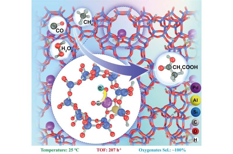 Single-Atom Catalysts Tuned with CO for Efficient Methane Conversion