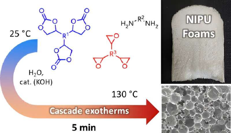 New Bio-Based Polyurethane Foam Production: Isocyanate-Free & Sustainable