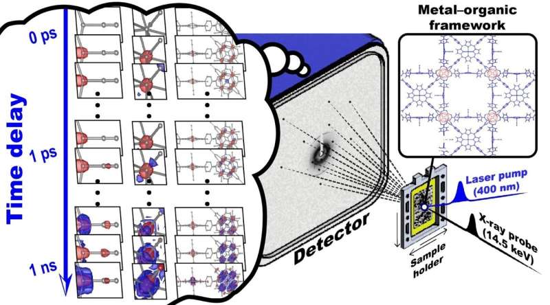 Ultrafast Molecular Dynamics in Single Crystals: A Time-Resolved X-ray Study