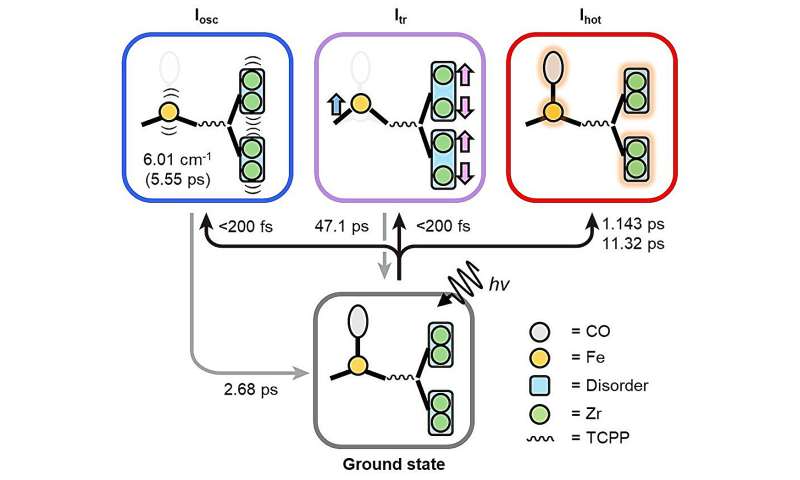 Ultrafast Molecular Dynamics in Single Crystals: A Time-Resolved X-ray Study