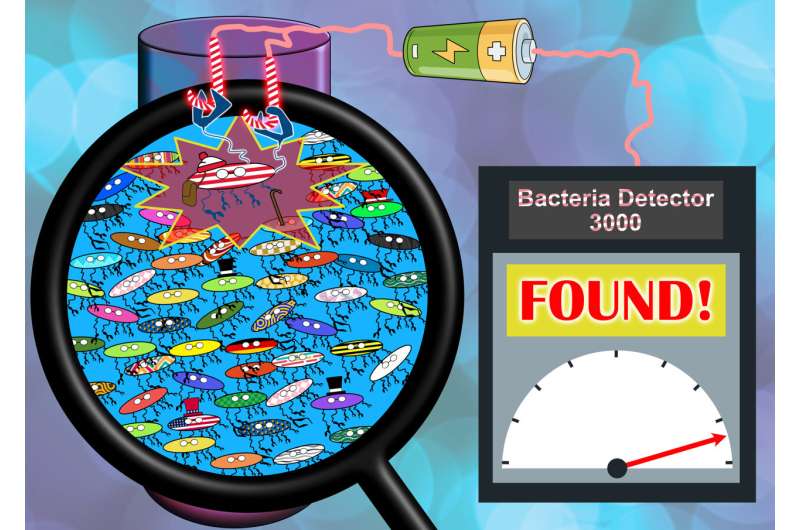 New Electrochemical Sensor Detects Dangerous Bacteria with High Sensitivity