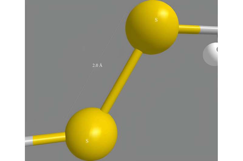 Accelerated Folding of Peptides & Microproteins for Drug Discovery