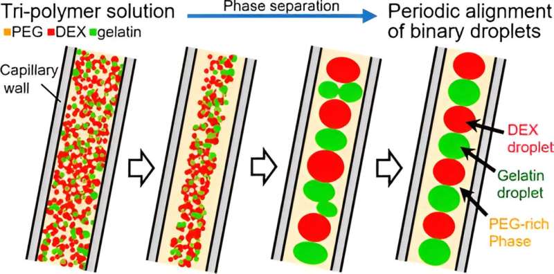Self-Organizing Microdroplets: A Novel Approach Using Quasi-1D Confinement