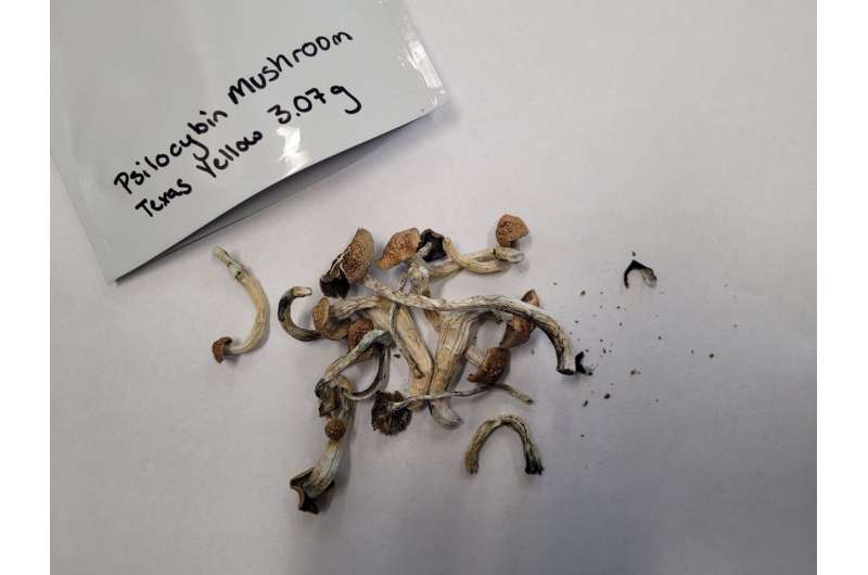 Accurate Psilocybin Potency Testing for Mushroom-Based Therapies